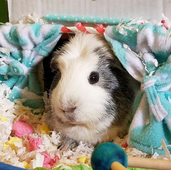 Meet your Posher, Kendra - Picture 1 of 1